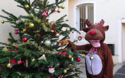 Sainte Marie revêt ses habits de Noël