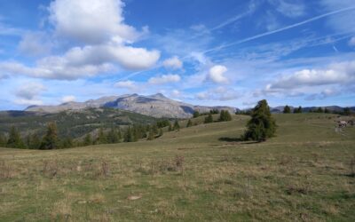 Cap Montagne 2024 : « Venez ! Montons à la montagne du Seigneur »